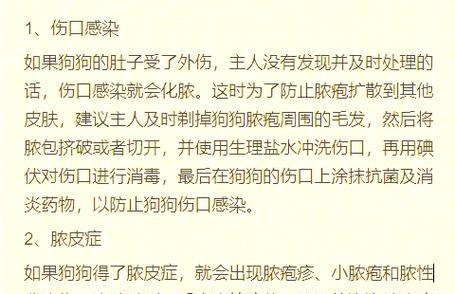 狗狗肚子里有虫？这6招，轻松帮你搞定！（宠物狗感染虫子怎么办？掌握这6种方法，让你的狗狗远离虫害！）