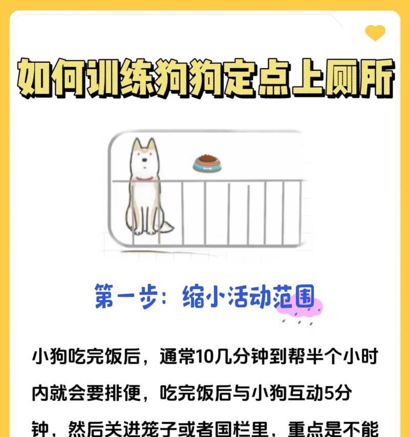 狗狗学会定点大小便的时间及方法（如何训练狗狗定点上厕所，主键词）