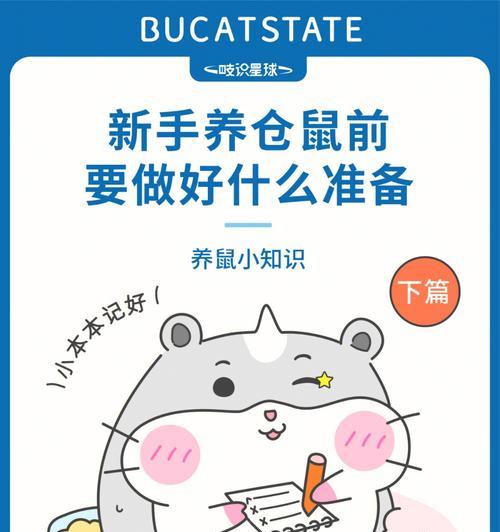 仓鼠的饮食要点及喂养注意事项（了解仓鼠的食物选择和喂养规范，让宠物健康成长）