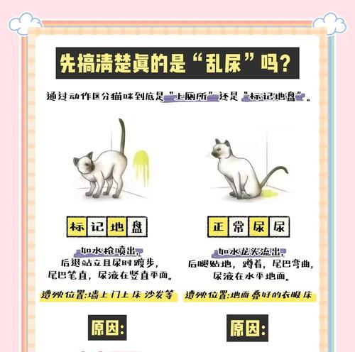 猫咪乱尿背后的原因及解决方案（了解猫咪乱尿的17种原因，并找到解决方案）