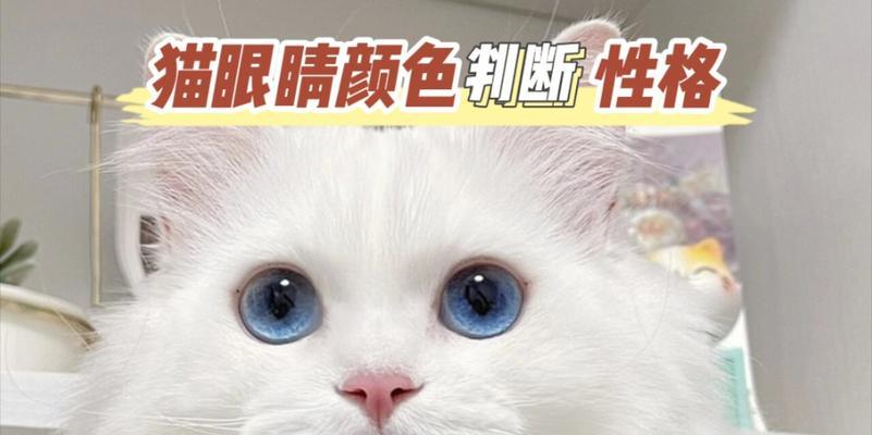 猫眼睛的颜色奇观（探索猫眼睛背后的奥秘，了解它们的颜色变化及意义）