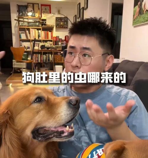 宠物狗常见的肚子里爬满虫子的6种表现及预防方法（了解狗狗肚子里爬虫的迹象和保健措施，让宠物健康快乐）