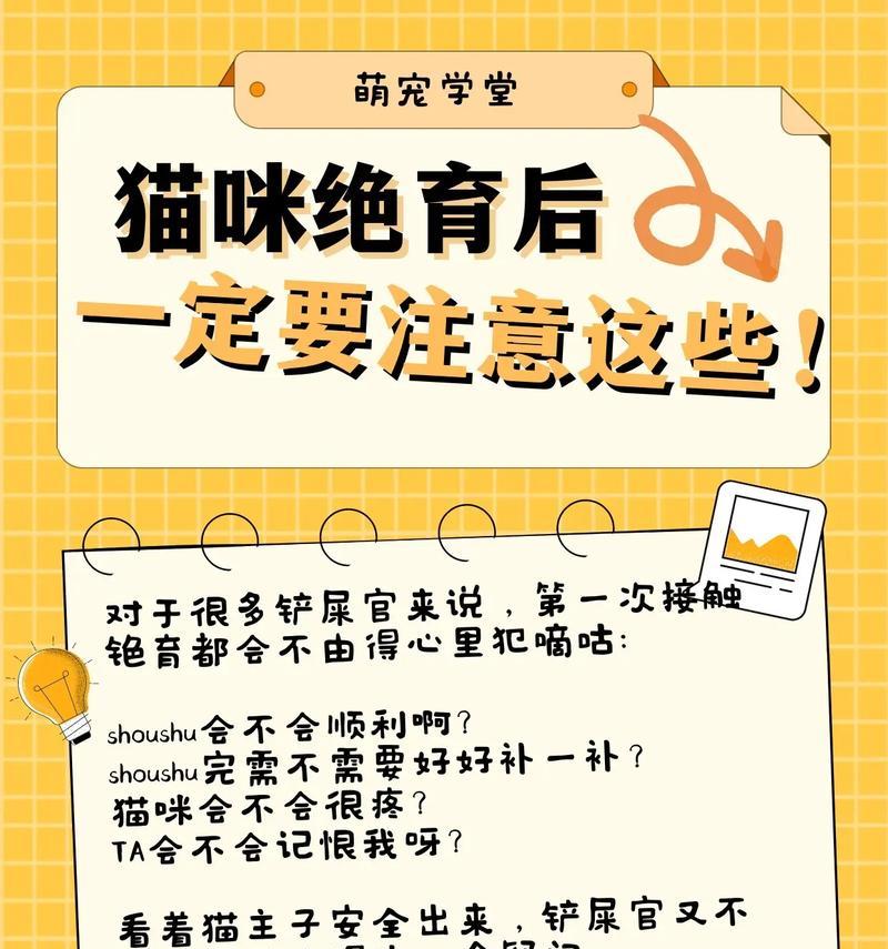 猫咪绝育全知识（保护宠物健康，提前做好准备）
