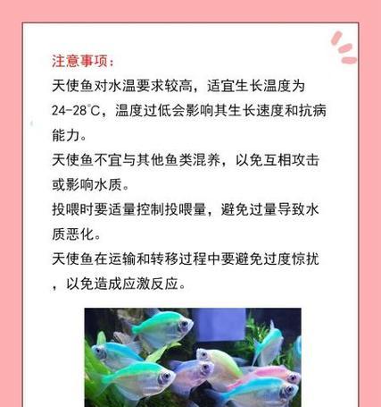 鱼缸换水频率与喂食时间（科学换水与合理喂食的重要性，让鱼儿健康快乐）