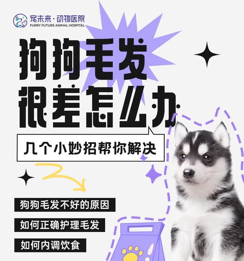 狗毛换毛周期及注意事项（了解狗毛换毛周期，关心宠物健康）