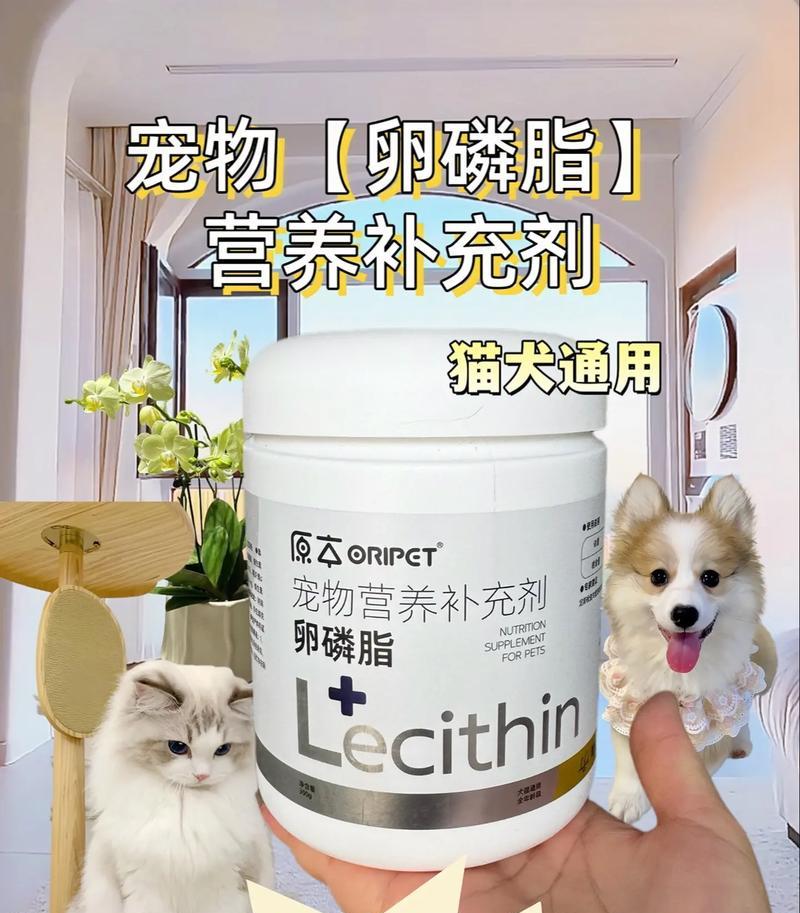 狗狗卵磷脂的有效期及摄入时间（了解狗狗卵磷脂的最佳摄入时机，让你的宠物获得最大的营养益处）