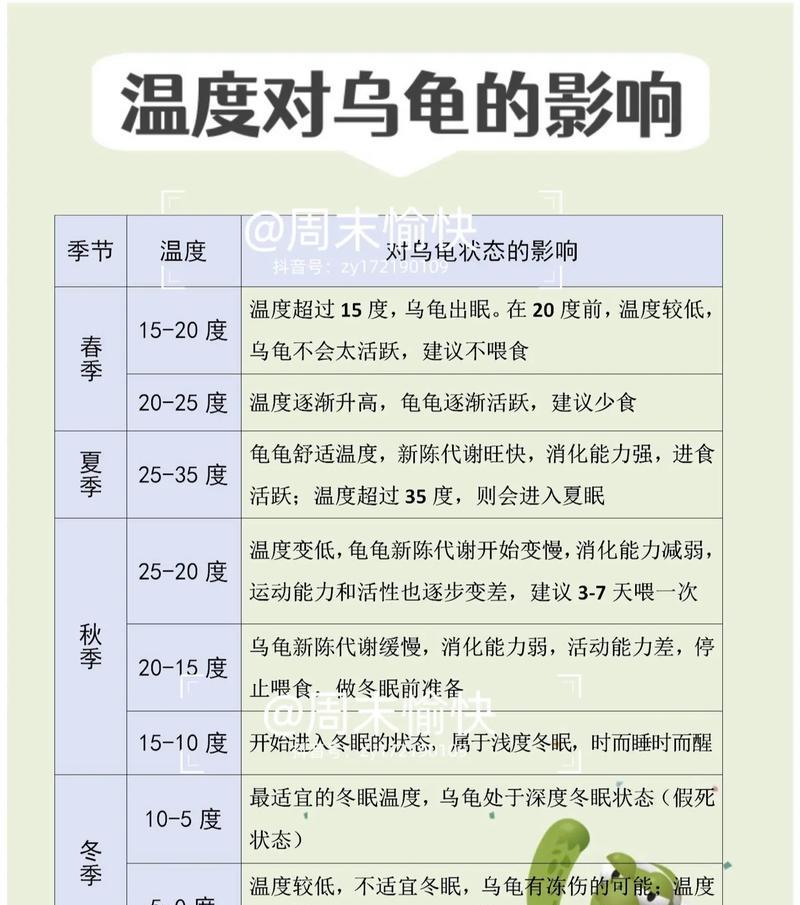 乌龟过冬加热全攻略（乌龟加热过冬的正确操作和注意事项）