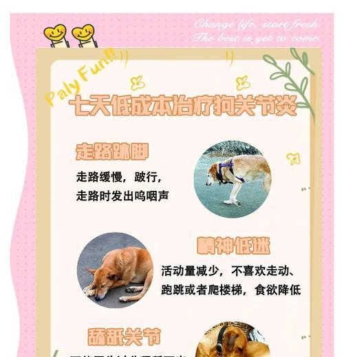 狗狗结膜炎康复时间究竟需要多久？（探讨狗狗结膜炎的治愈过程及关键因素）