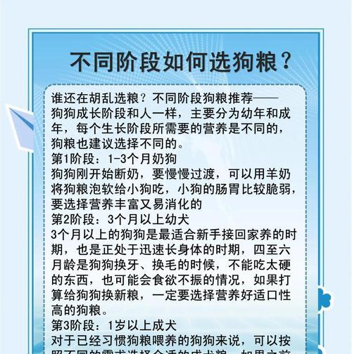 喂狗粮的注意事项及合理加热方法（以喂狗粮需要注意什么？成品狗粮加热喂食合理吗？）