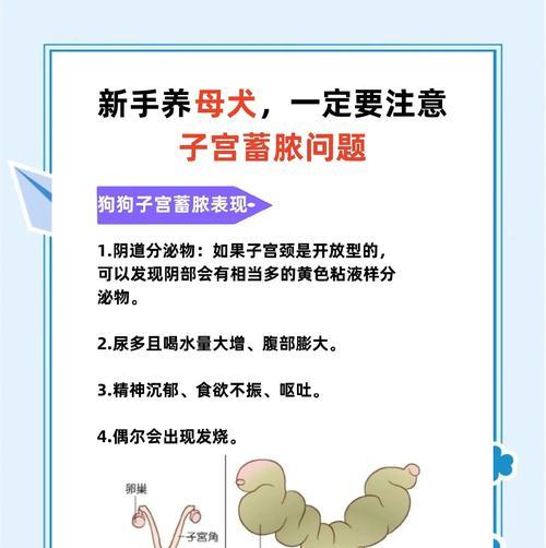 母狗产后多久开始有奶水？（探讨母狗产后哺乳的时间和过程）