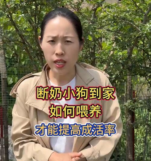未断奶的狗多久拉一次？（了解未断奶狗的排便频率及注意事项）