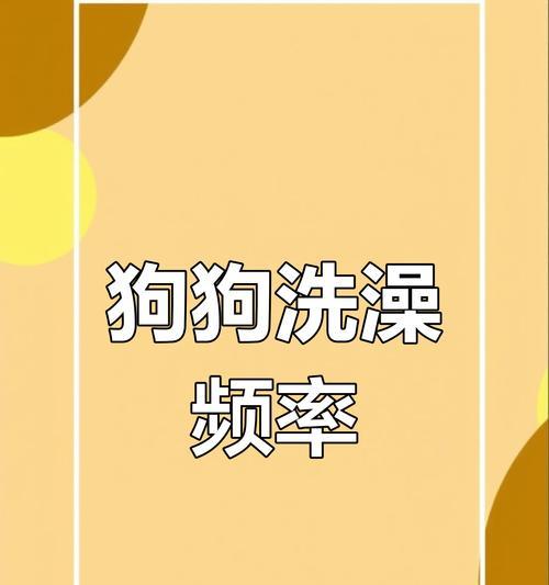 狗狗洗澡的频率到底是多少？（了解适当的洗澡频率，让你的爱犬保持健康）