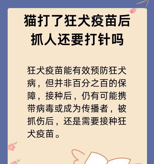 小猫打完疫苗后的恢复期（了解小猫接种疫苗后的健康恢复情况）