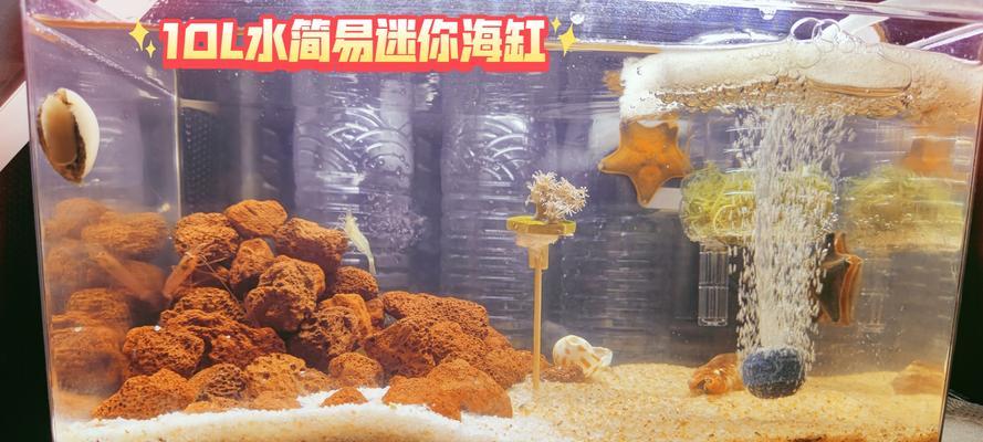 海缸入门-设备篇（海缸设备的必备品，轻松打造您的梦幻水族世界！）