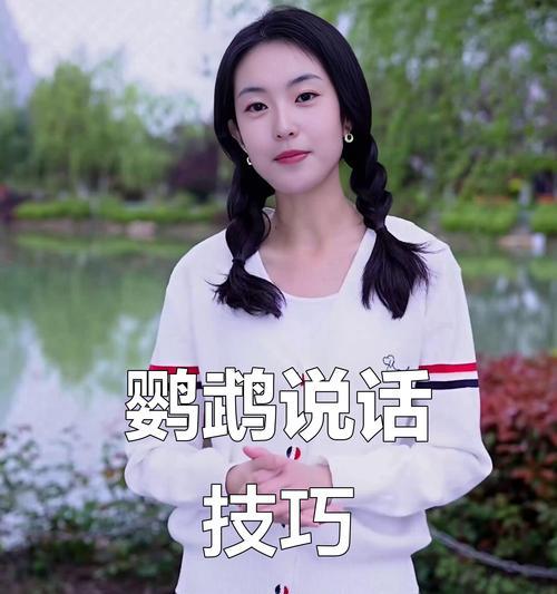 教婴鹉说话的时间和方法（让婴鹉学说话需要耐心与技巧）