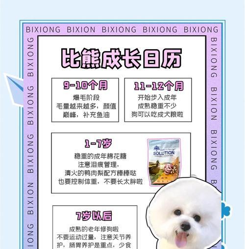 比熊狗配种后多久可以冲凉？（配种后恢复期及清洁建议）