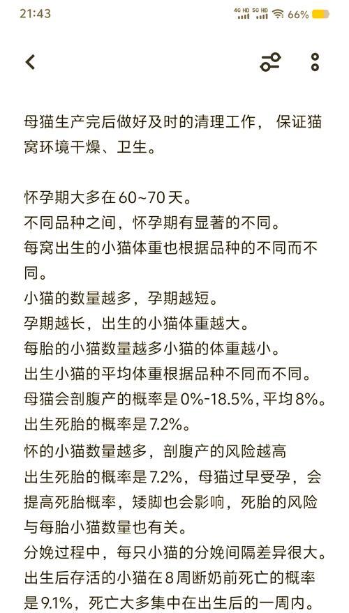 母猫的生育周期与频率（探寻母猫生育规律，了解繁殖周期）