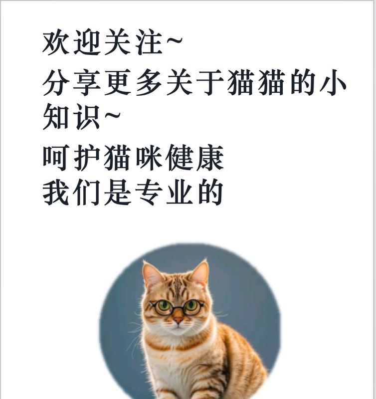 网上购买猫需要注意的事项（从选择到交付，全方位指南助你顺利购买理想的宠物猫）