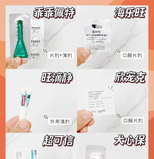 狗狗吃了驱虫药多久能恢复正常？（探讨狗狗吃了驱虫药后恢复时间的因素和方法）