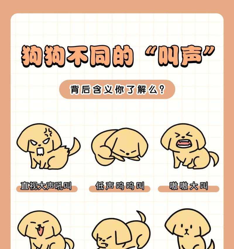 狗狗的叫声揭示的不同需求（从狗狗的六种不同叫声看他们的内心世界）