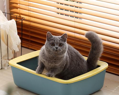 豆腐猫砂（4款豆腐猫砂让你告别繁琐的清理工作）