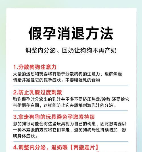 狗狗假怀孕多久有奶水（了解狗狗假怀孕期间产生奶水的时间和表现）