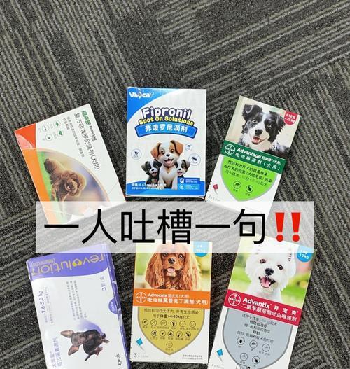狗狗的驱虫时机（了解狗狗的驱虫需求，维护宠物健康）