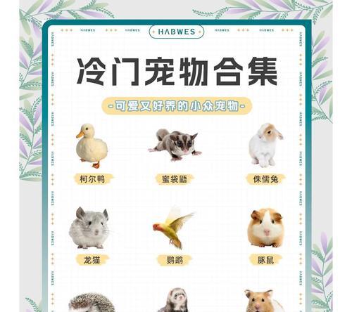 龙猫真菌感染需要多久才能痊愈？（探讨龙猫真菌感染的康复时间及关键因素）