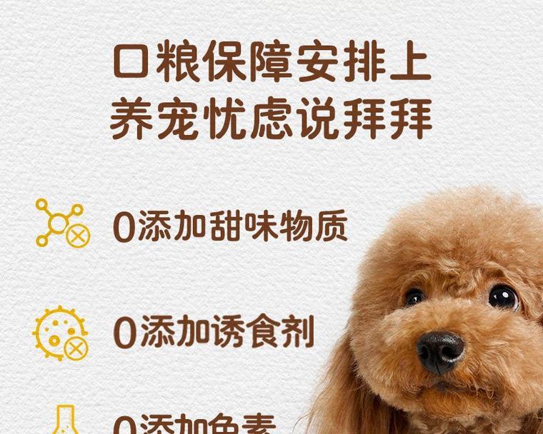 柯基每天适合吃多少狗粮？（探讨柯基狗狗每日所需狗粮量及养护建议）