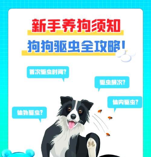 狗吃驱虫药后多久可以打疫苗（疫苗接种时机与驱虫药服用间的时间间隔）