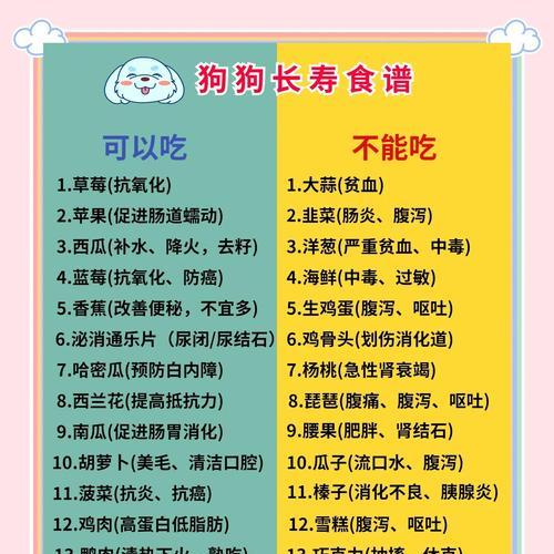 探究泰迪犬最爱吃的食物（揭秘泰迪犬饮食习惯，让你家宠物吃得健康）