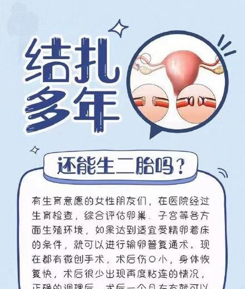 狗的结扎时间（犬类怀孕周期、结扎时机和注意事项）