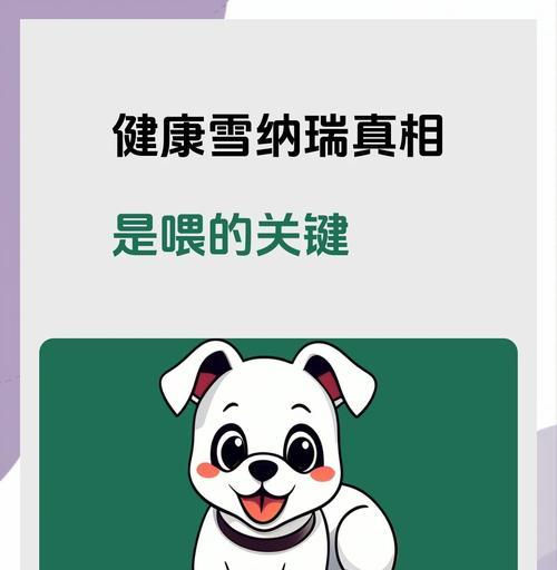 雪纳瑞的喂食秘籍（不同形态雪纳瑞的喂养方法解析）