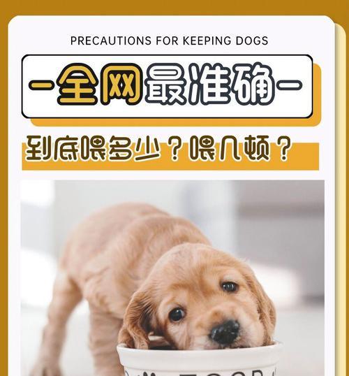 狗狗的饮食需求（科学探究狗狗的饮食需求和合理喂养方式）