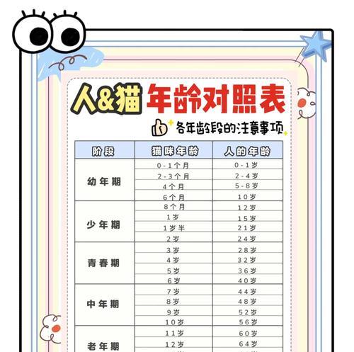 猫的体检时机与重要性（探索猫咪生命早期体检的最佳时间点与内容）