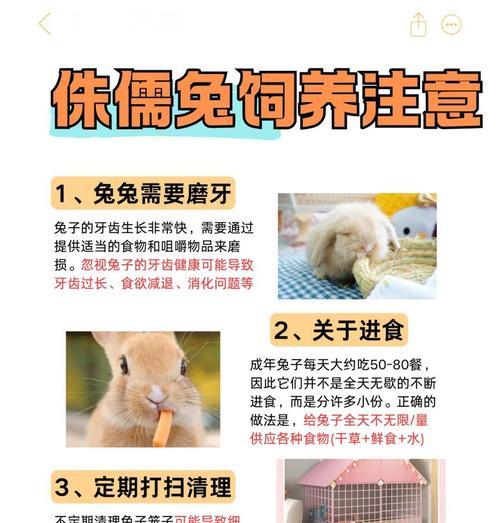 养兔爱好者需要注意的兔子为什么不能洗澡的原因（洗澡对兔子皮肤和健康的影响及正确的清洁方式）