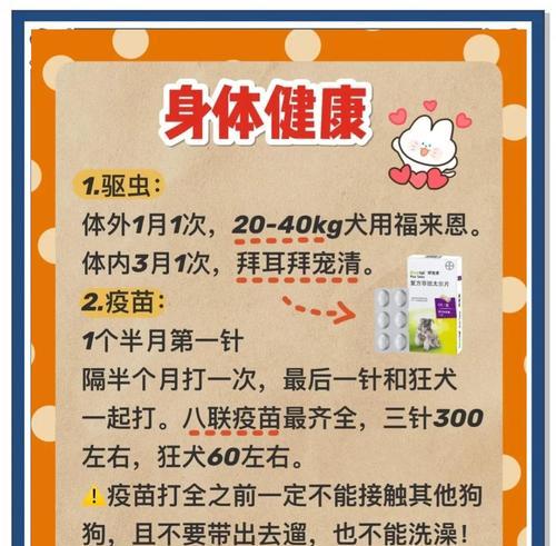 怀孕的阿拉斯加需要特别关爱（饲养怀孕阿拉斯加的注意事项）