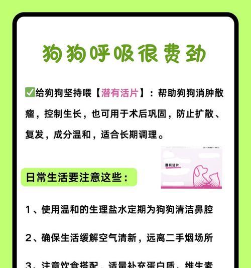 狗狗能喝多久有效？（探究狗狗水分摄入的持续有效性及影响因素）