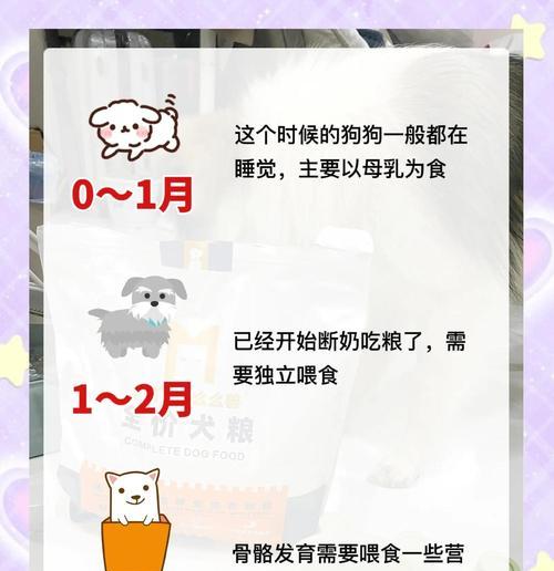 养幼犬的喂养清单（培养健康宠物的关键点）