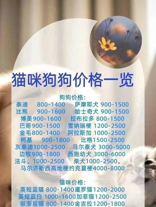 阿拉斯加幼犬训练的秘诀（培养良好习惯，从小开始）