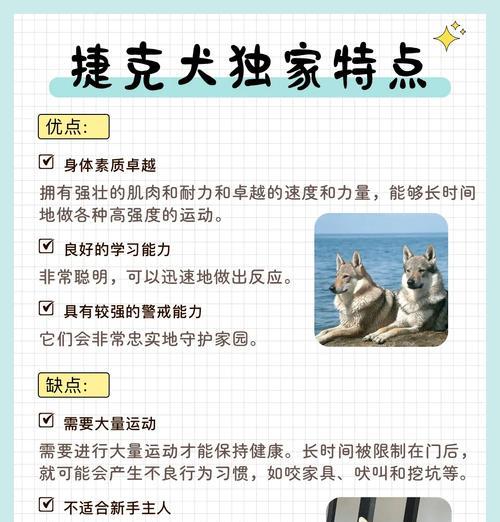 狼犬体型成熟的时间及影响因素（探究狼犬成长速度，了解其与遗传和环境因素的关系）