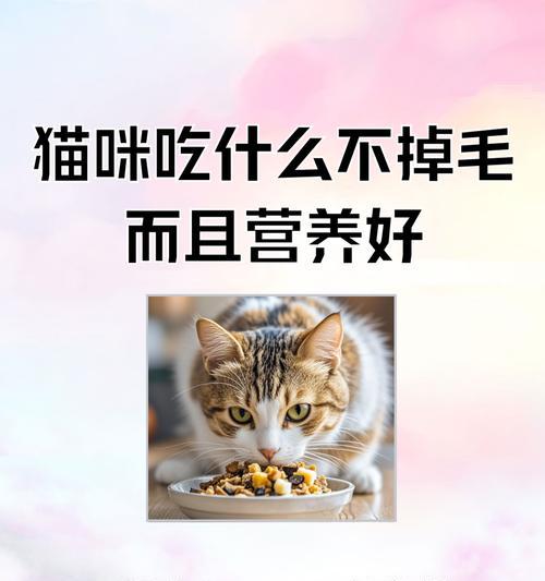 鸡肝猫食频率（为什么鸡肝是猫咪的理想食物？猫主人们需要知道的一切）
