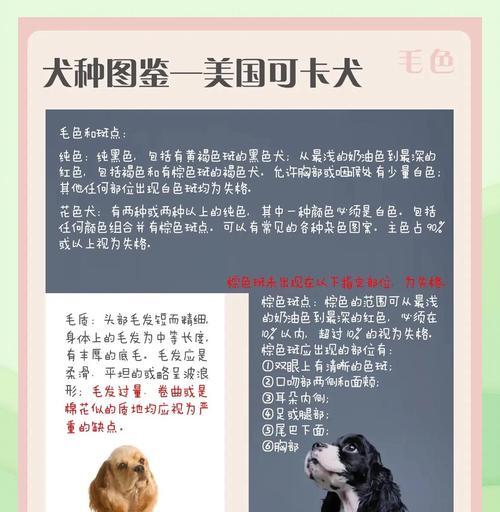 英卡犬的寿命及如何延长其寿命（了解英卡犬的平均寿命，关注健康与幸福的关键）