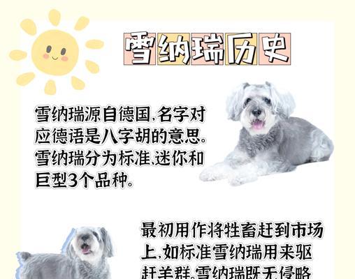 雪纳瑞洗澡频率（了解雪纳瑞的皮肤特性与洗澡需求，科学制定洗澡计划）