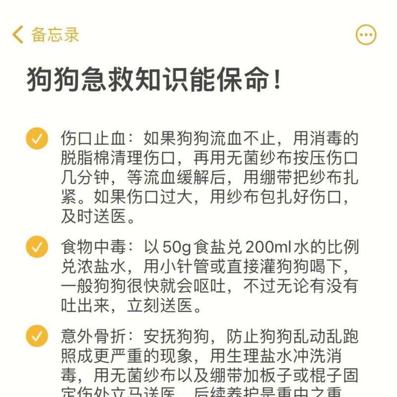 幼犬晕车后恢复时间及方法（幼犬晕车恢复的）