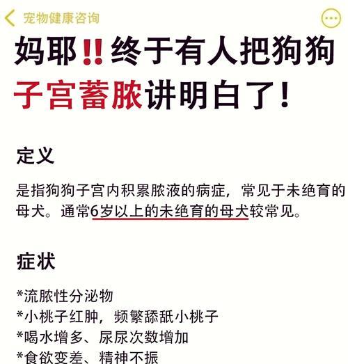 狗狗子宫蓄脓（揭秘狗狗子宫蓄脓的致命威胁与生存期限）