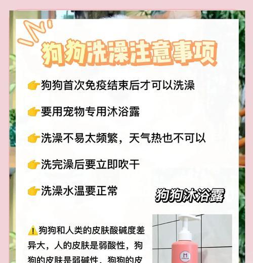 如何给狗狗洗澡——掌握这些技巧就够了（宠物狗洗澡的基本知识与技巧，轻松解决洗澡难题！）