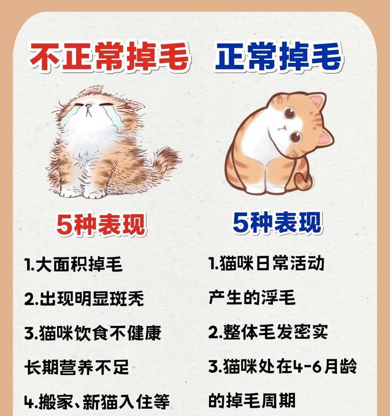 猫剃毛的周期和注意事项（探索猫咪剃毛后毛发生长的时间和必要的护理方法）