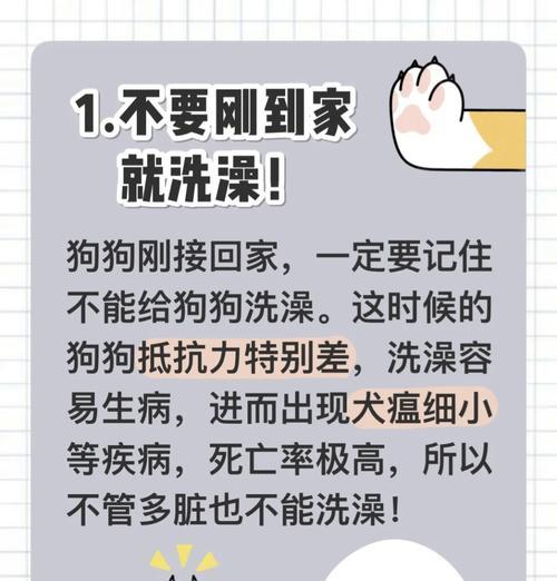 新买来的狗狗，何时洗澡为宜？（狗狗洗澡频率的正确把握）