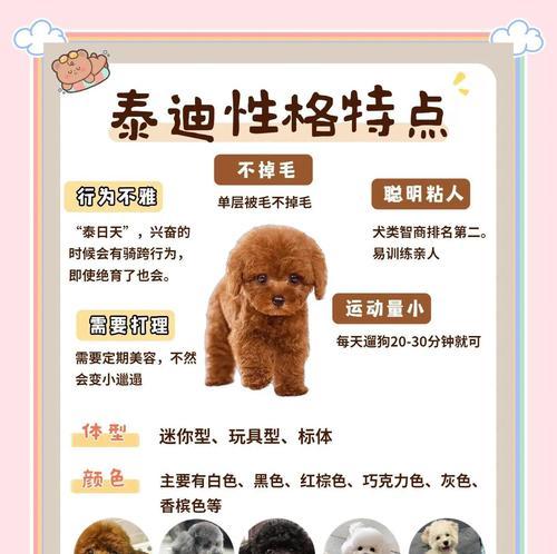泰迪细小的发现与应对措施（探索细小病毒的隐藏期及预防方法）